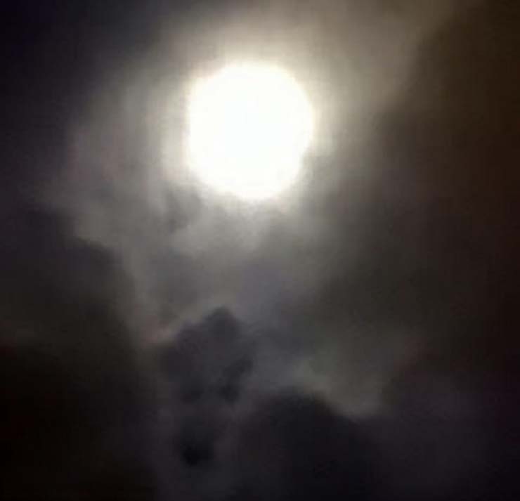 На фото полной луны женщина увидела мордашку своей любимой собаки