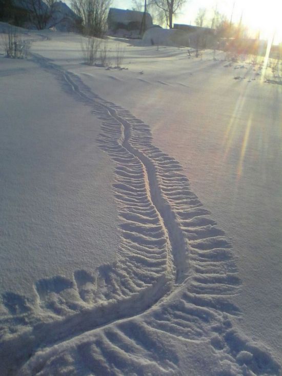 Таинственный след на снегу напугал сельских жителей Кузбасса