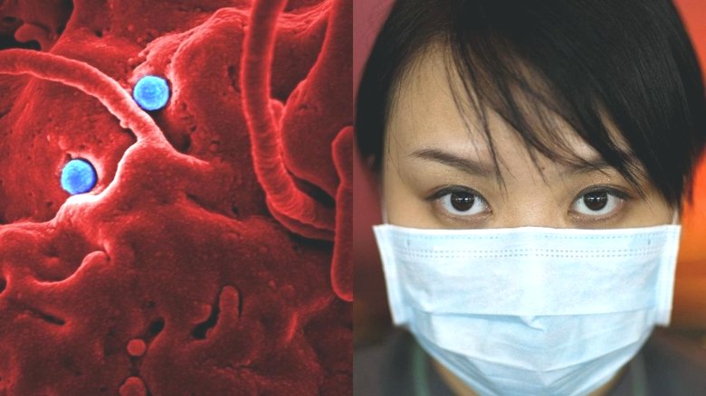 Три взгляда на одну проблему: китайский коронавирус