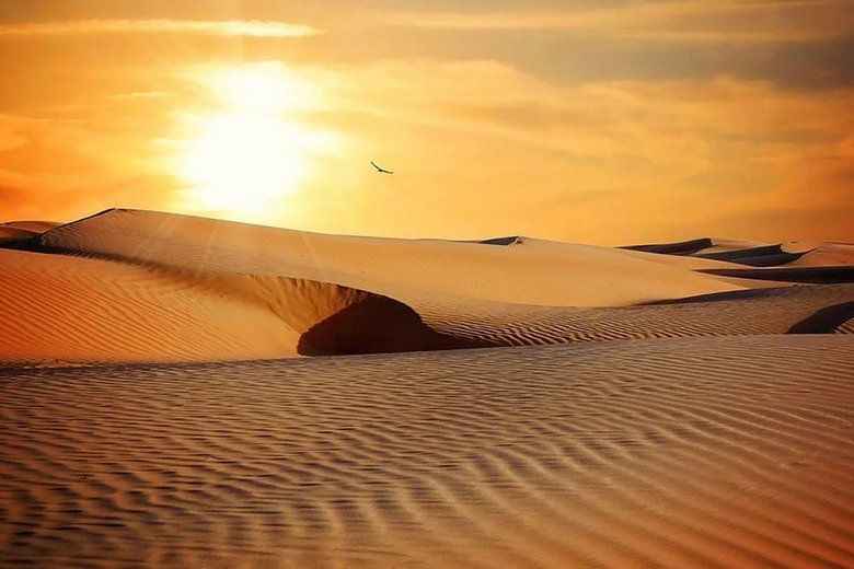 Вокруг нас исключительно всё – живое и мыслящее, даже песчаные дюны