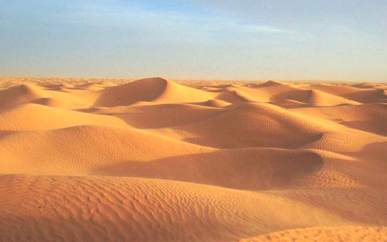 Вокруг нас исключительно всё – живое и мыслящее, даже песчаные дюны