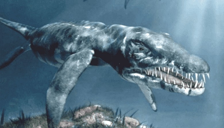 Аргентинский плезиозавр попал на видео рыбаков