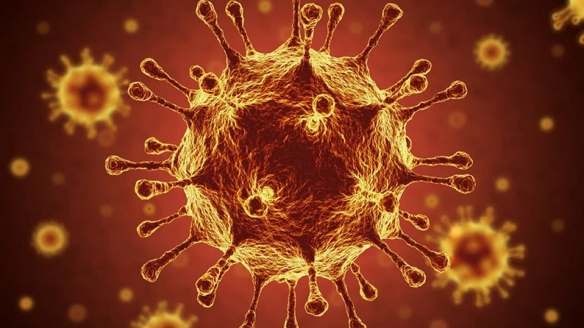 ИИ помог создать вакцину от всех штаммов коронавируса сразу