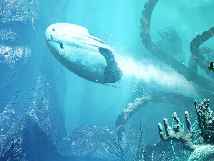 Предполагаемый неопознанный подводный объект запечатлели в Мексиканском заливе (ВИДЕО)