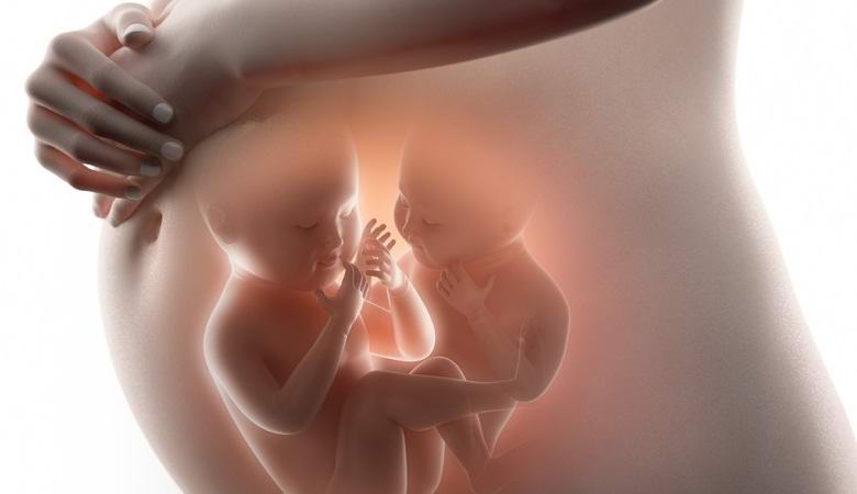 Близнецы «дерутся» в утробе матери на удивительном видео