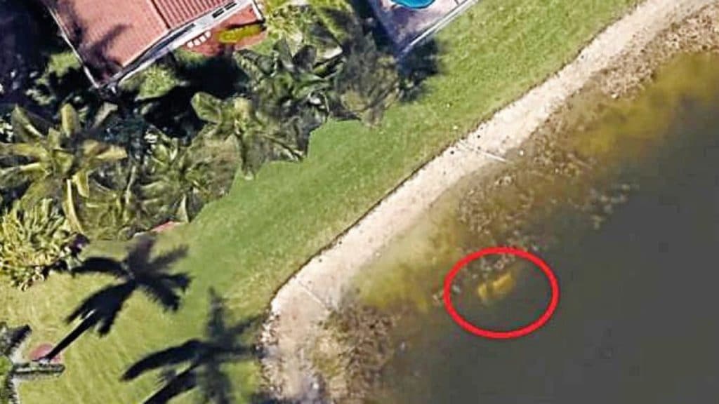 Сервис Google Earth помог найти мужчину, пропавшего более двадцати лет назад