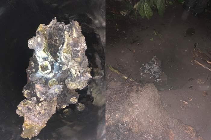 В Эквадоре упал необычный метеорит (ВИДЕО)