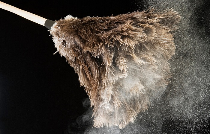 Домашняя пыль ведет к избыточному весу