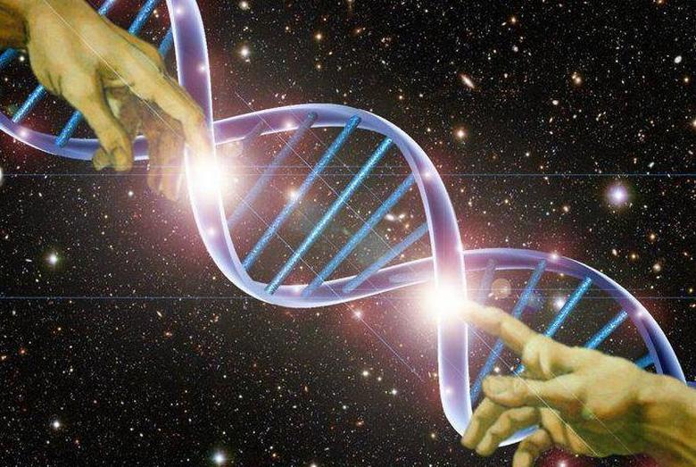 Австралийская исследовательница доказывает, что человеческая ДНК была изменена искусственно