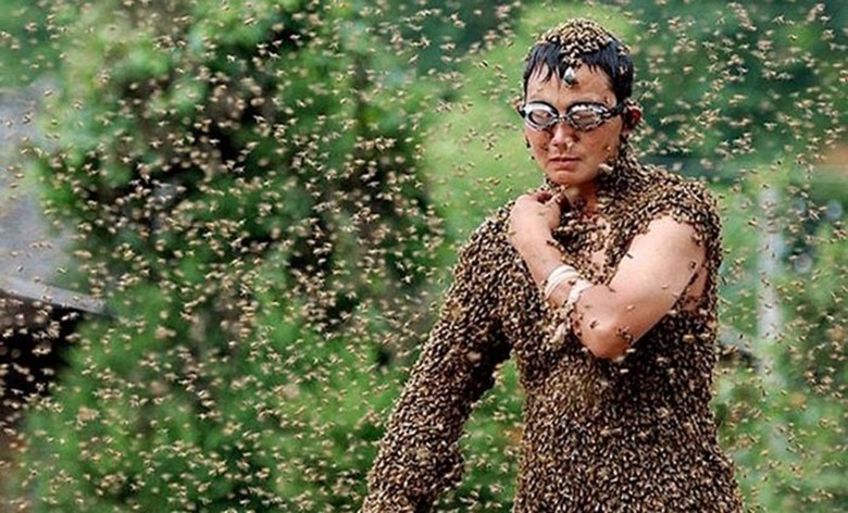Когда пчелы могут кардинально изменить или даже прервать вашу жизнь