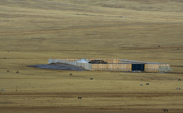 Жители Монголии окружают свои одинокие юрты посреди голой степи высоким забором и шинами