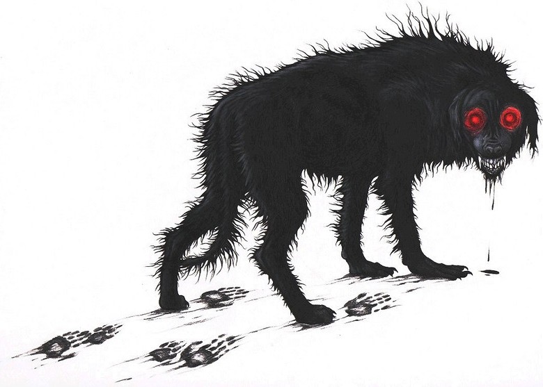Загадочные черные собаки, которых чаще всего видят в Англии