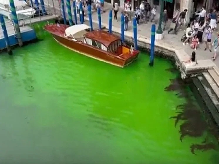 Тайна кислотно-зеленого канала: Власти Венеции расследуют загадочное происшествие
