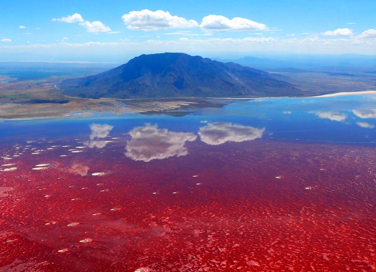 Самое жуткое озеро на Земле находится в Африке