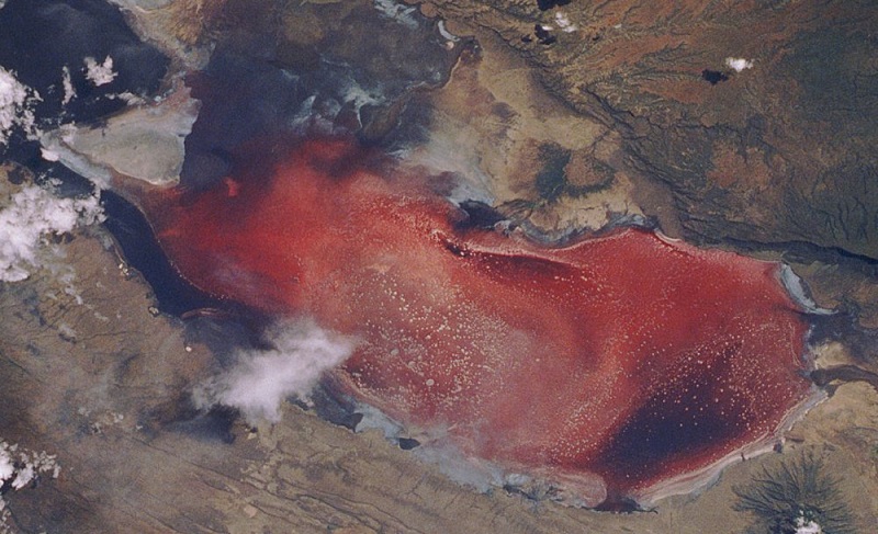 Самое жуткое озеро на Земле находится в Африке