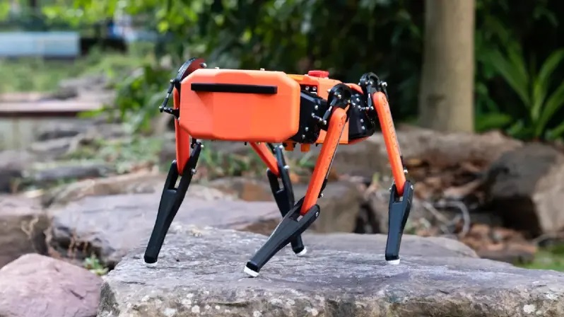 Студенты создали робота-пса Dingo, конкурента Spot от Boston Dynamics