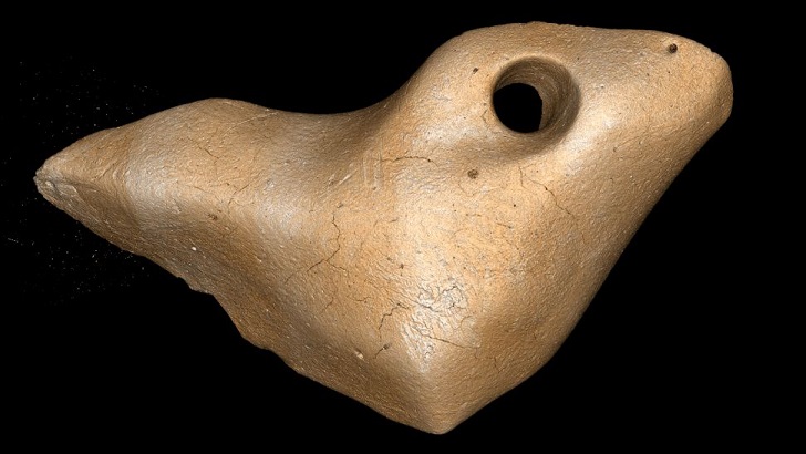В Бразилии обнаружили древние артефакты, сделанные из костей гигантского ленивца 25 тысяч лет назад