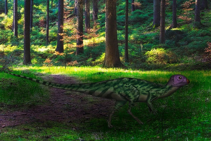 Новый вид динозавра обнаружили археологи в Таиланде