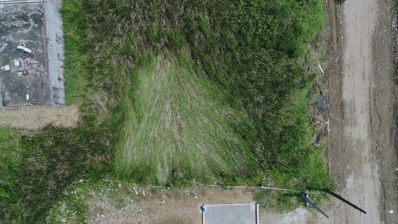 В Бразилии обнаружили место посадки НЛО со странными отметинами