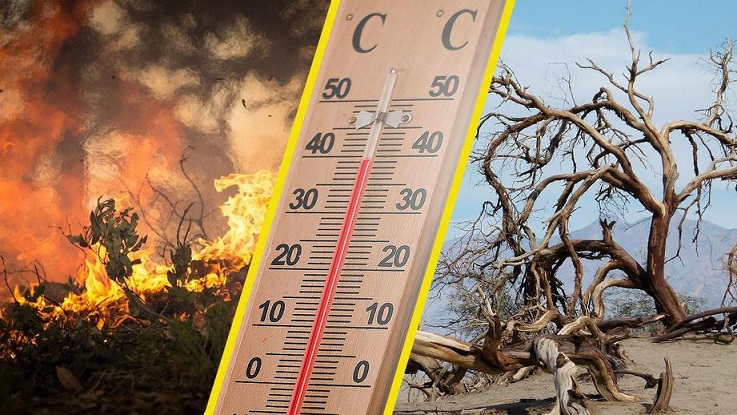 Три сценария будущего Земли представили климатологи