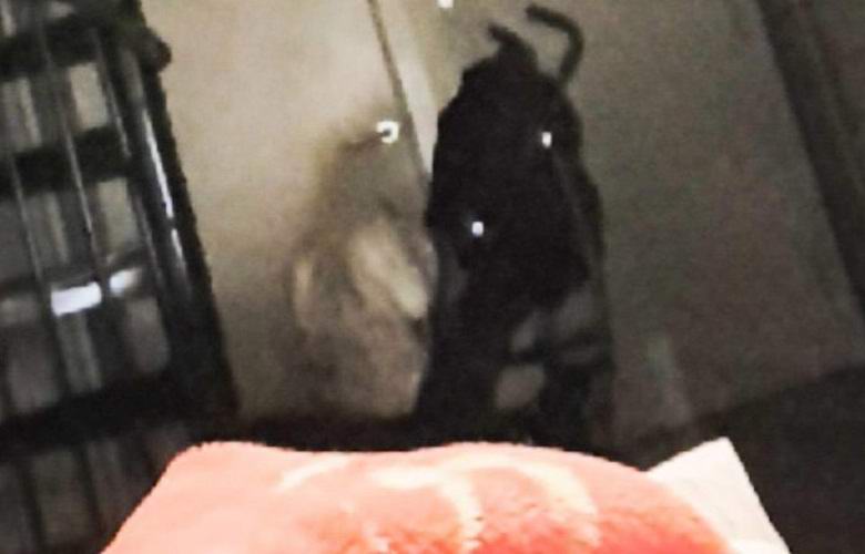 Сфотографирован зловещий фантом, сидевший на полу квартиры