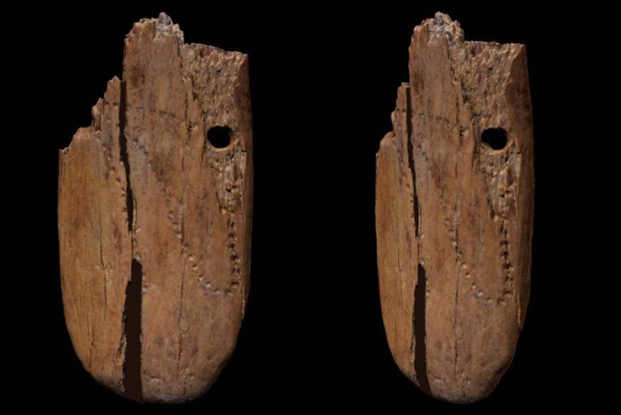 В Польше нашли древнейший в Евразии кулон из кости мамонта