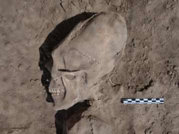 Останки древних существ с вытянутыми черепами обнаружены в Мексике