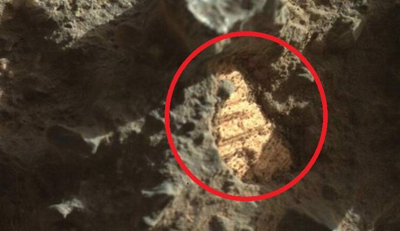 На Марсе найдены гигантские раковины