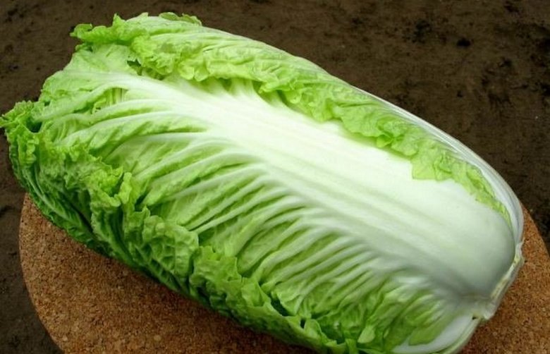 Зеленые салаты омолаживают мозг
