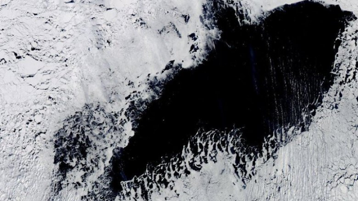 В Антарктиде снова образовалась огромная полынья