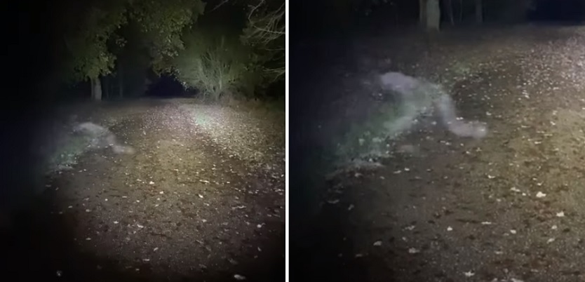Ползающего гуманоидного призрака запечатлели в загородном парке в Англии