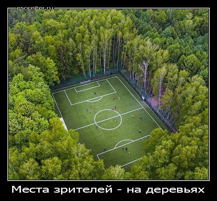 Фото дня: Футбольное поле в Подмосковье