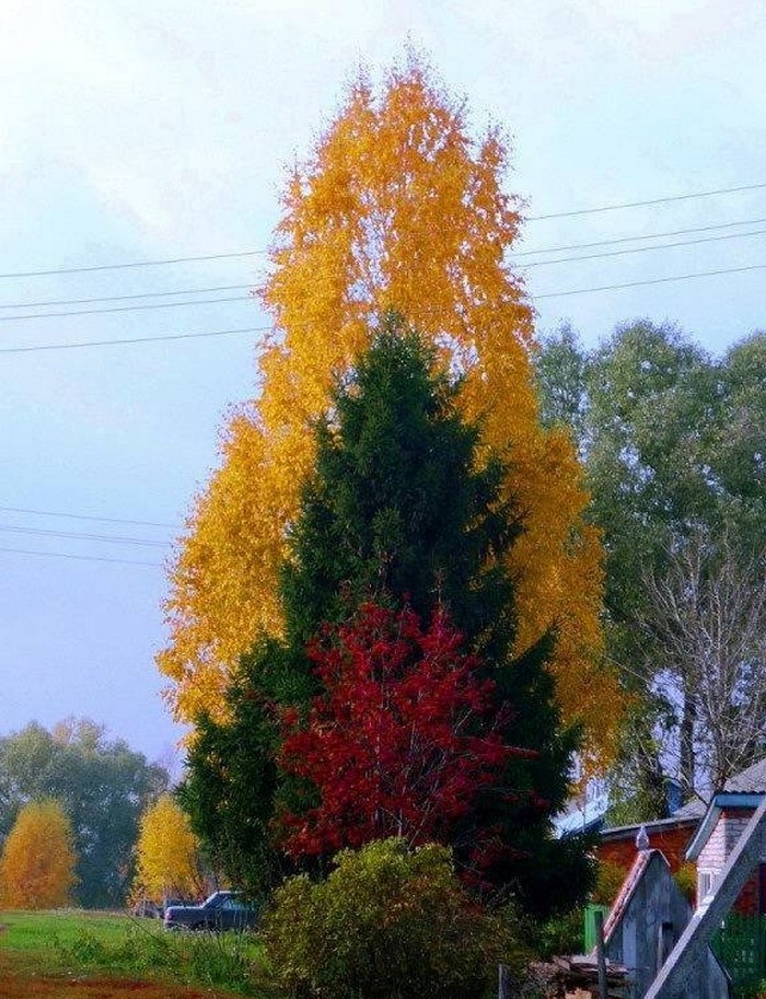 Фото дня: А осень выкрасила...