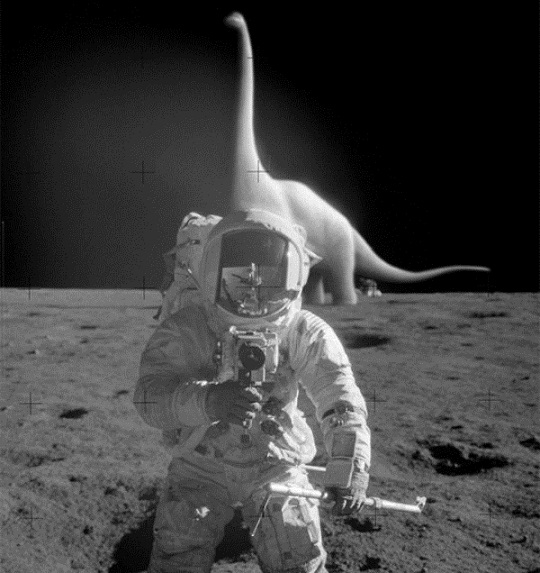 Фото дня: Так вот что было на самом деле на Луне!