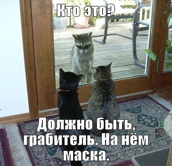 Фото дня: Кто это?