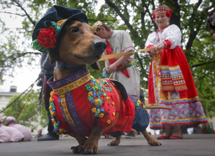 Фото дня: Праздничные костюмы - для всех!