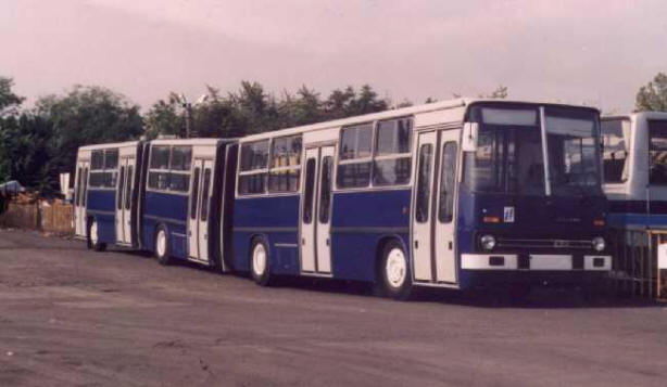 Забавные автобусы Забавные автобусы автобус, необычно