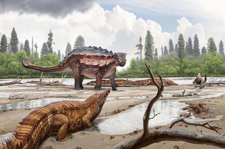 Динозавры, возможно, до сих пор живут в непроходимых джунглях 