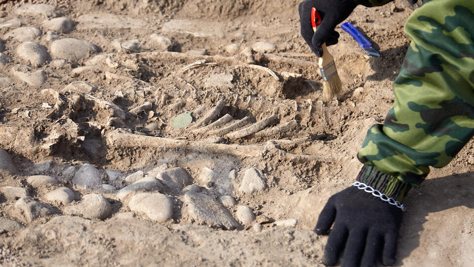 Возраст Homo sapiens оказался на 36 тысяч лет старше