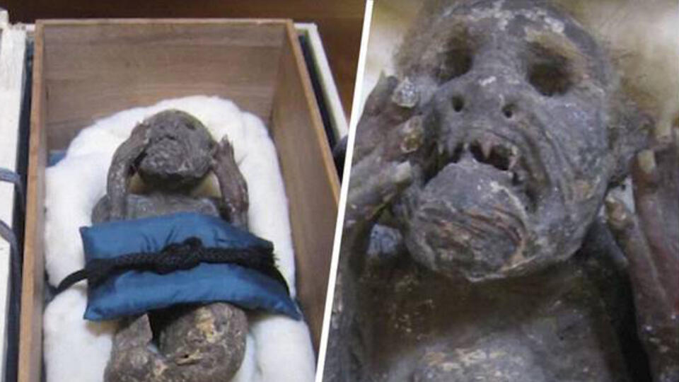 Загадочную мумию «русалки» получили для детального исследования ученые