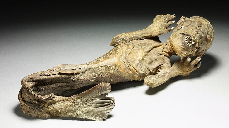 Японские ученые изучают древнюю мумию «русалки»