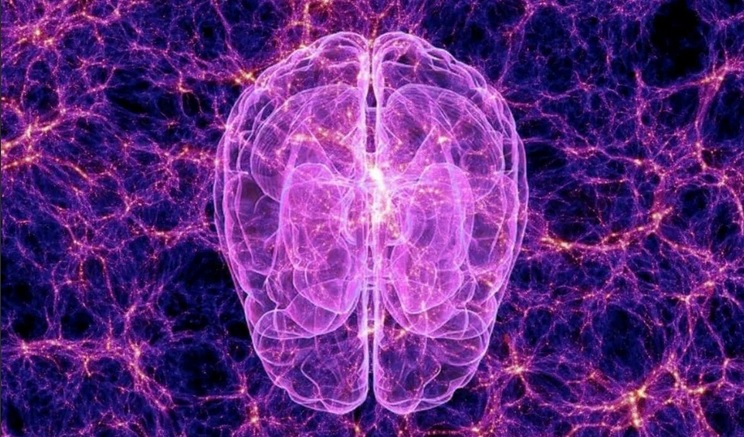 Многомерную вселенную обнаружили внутри человеческого мозга