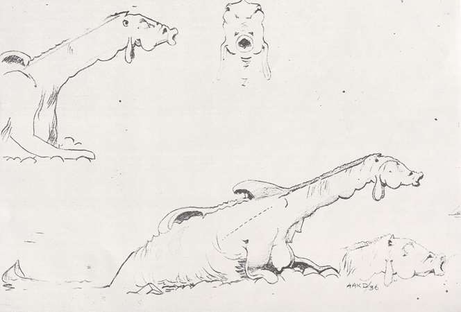 Рисунок существа, увиденного на озере Лох-Несс в 1936 году, обнаружили в Национальном музее Шотландии