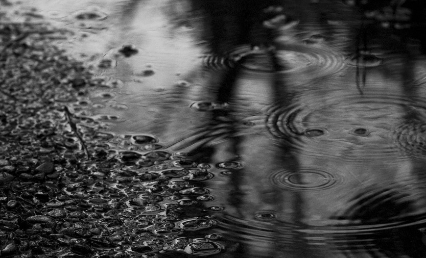 В Чувашии прошел странный черный дождь (ВИДЕО)