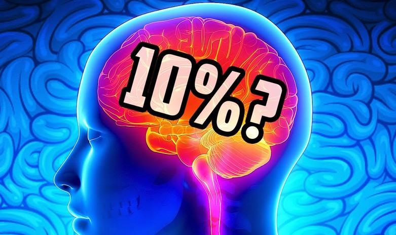 Классический миф о том, что мы используем лишь 10 процентов возможностей своего мозга