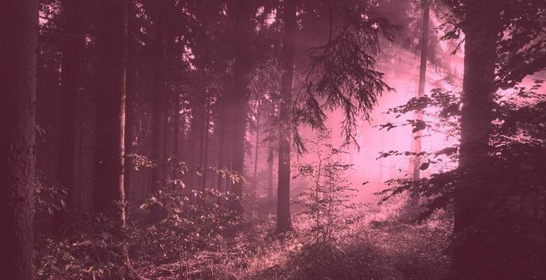 Загадочные рассказы о розовом плотоядном тумане