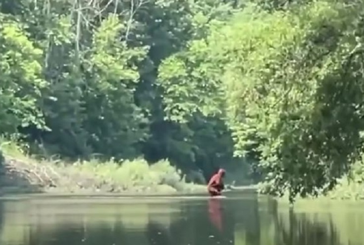 На видео сняли снежного человека, переходящего реку с ребенком