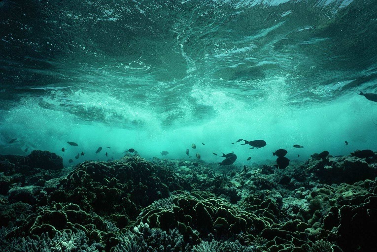 Как выглядит море внутри