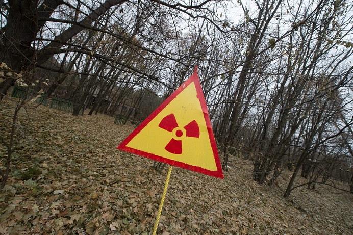 В Подмосковье обнаружили радиоактивный лес