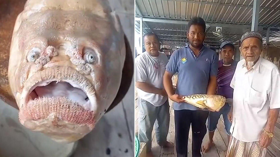 Рыбак испугался пойманной «печальной» рыбы, слишком похожей на него